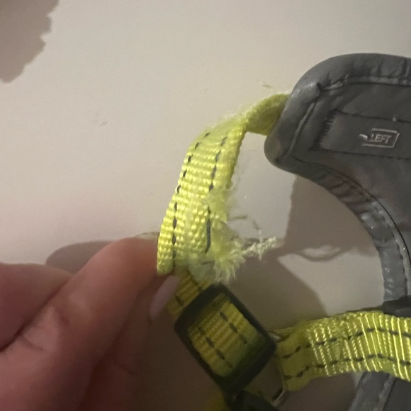 Boots & Barkley™M
MESH HARNESS
Pet
Size Small - Picture 6 of 12